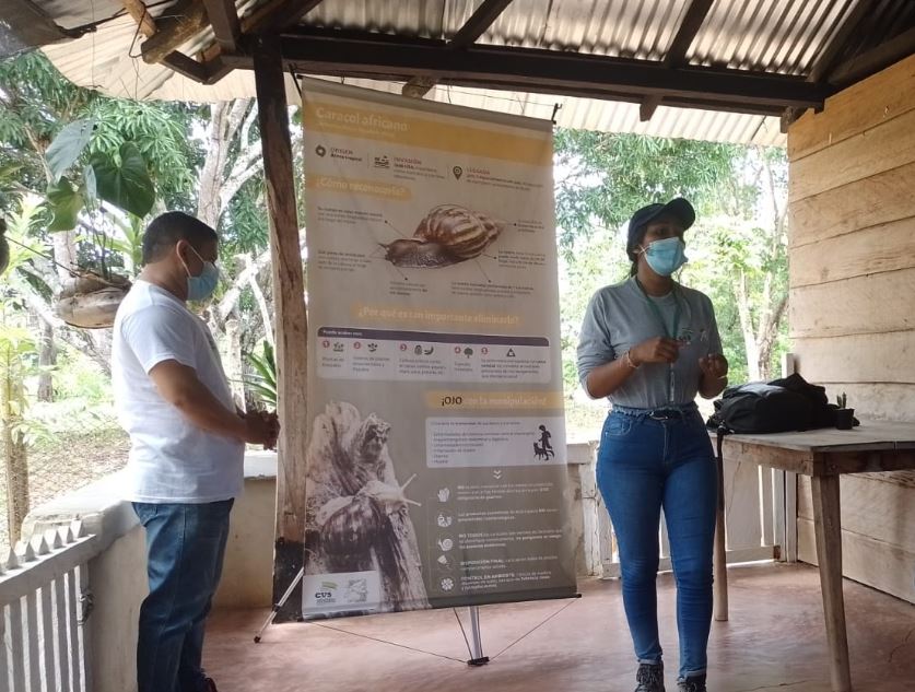Photo of Capacitan a habitantes de la vereda Polonia por la presencia de caracoles africanos