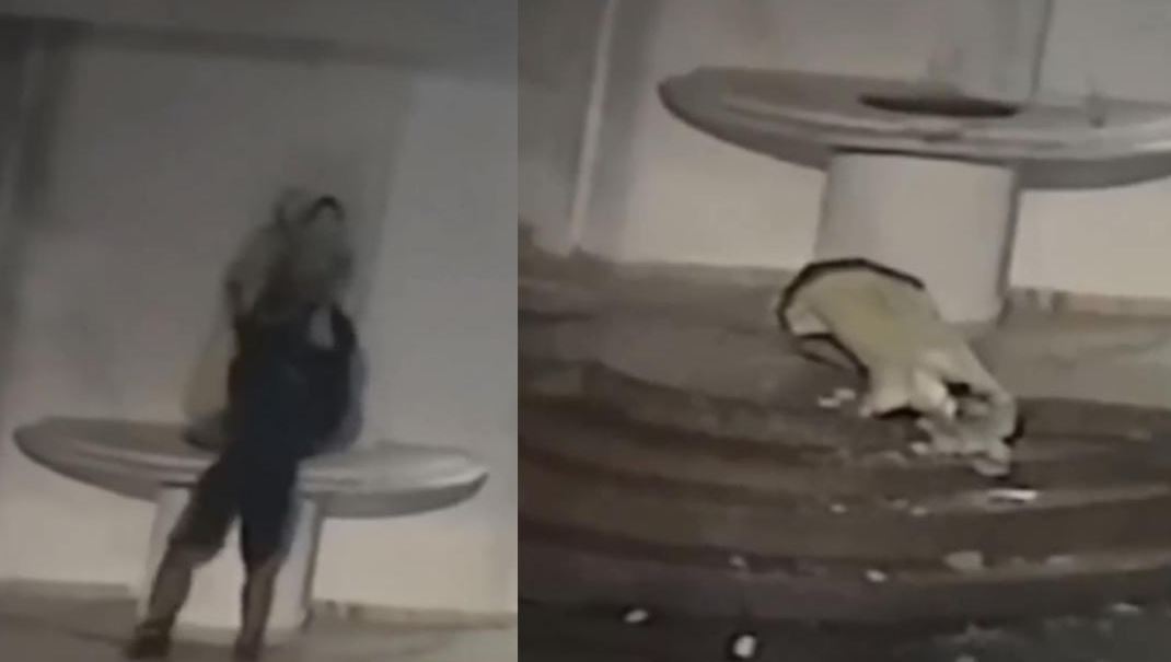 Photo of A piedra y empujones destruyen imagen de la Virgen en Montelíbano