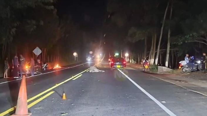 Photo of Semovientes ocasionan dos accidente en la vía La Apartada – Caucasia