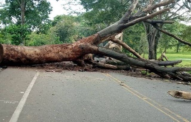Photo of Volvieron los bloqueos intermitentes en vía a la Costa Caribe en Tarazá, Antioquia