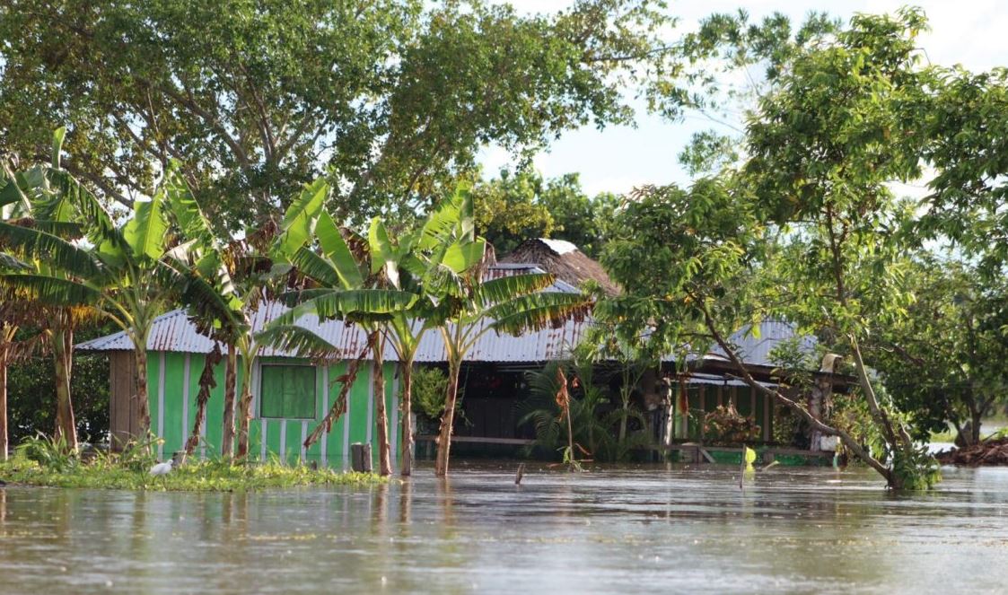 Photo of Gobierno adquirirá predios de ganaderos para reubicar comunidades damnificadas de La Mojana