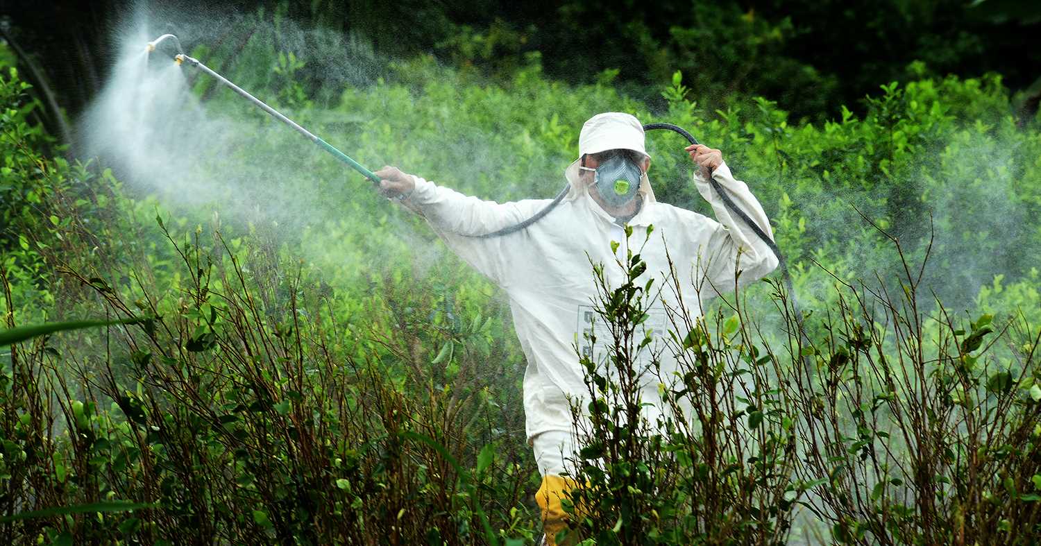 Photo of Pese a promesas de Petro, se reinician en el Sur de Córdoba fumigaciones contra cultivos ilícitos