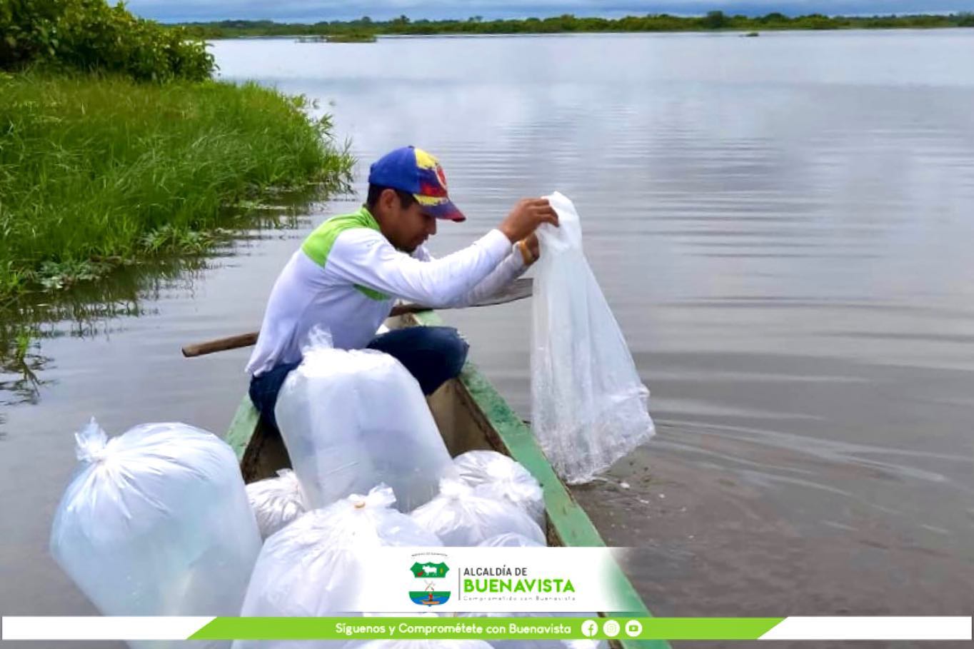Photo of Realizan repoblamiento piscícola de la ciénaga Las Marías de Buenavista