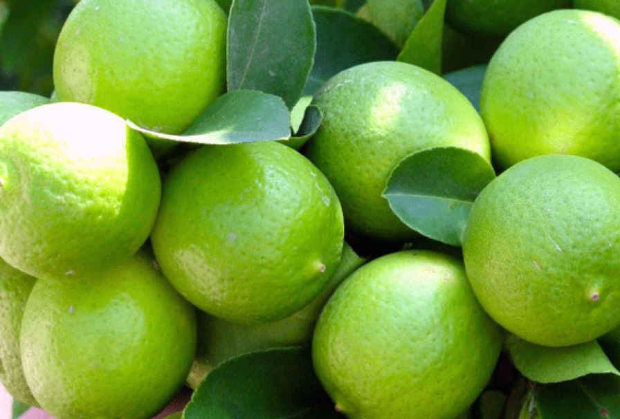 Photo of Salud | ¿Qué dolores ayuda a aliviar el limón?