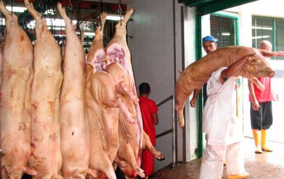 Photo of Petro propone revivir los mataderos municipales para bajar los precios de la carne