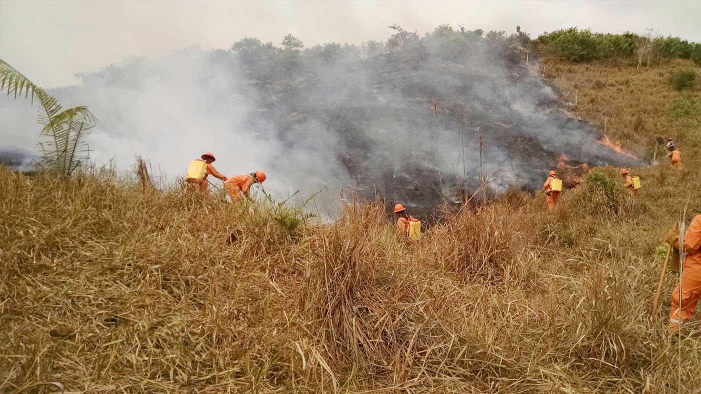 Photo of Incendios forestales: 263 municipios están en alerta roja, según el Ideam