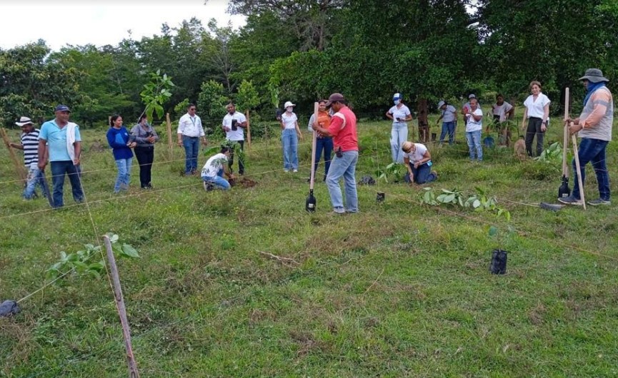 Photo of Afinia capacitó a más de 214 mil usuarios en temas energéticos, sociales y ambientales