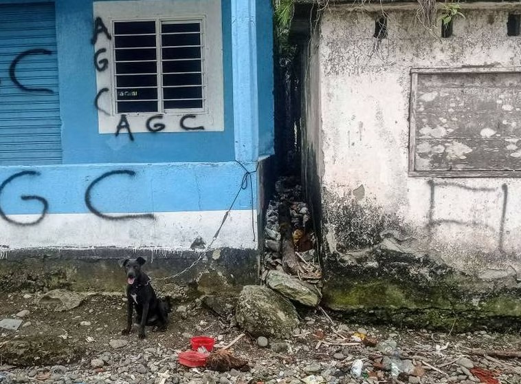 Photo of Clan del Golfo pide proceso de paz con el Gobierno