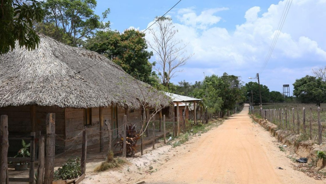 Photo of Opinión | Campo visible: Mejor Esquina 35 años de dolor y resiliencia