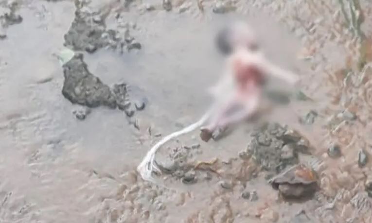 Photo of Hallan un feto a orillas de un caño en Planeta Rica