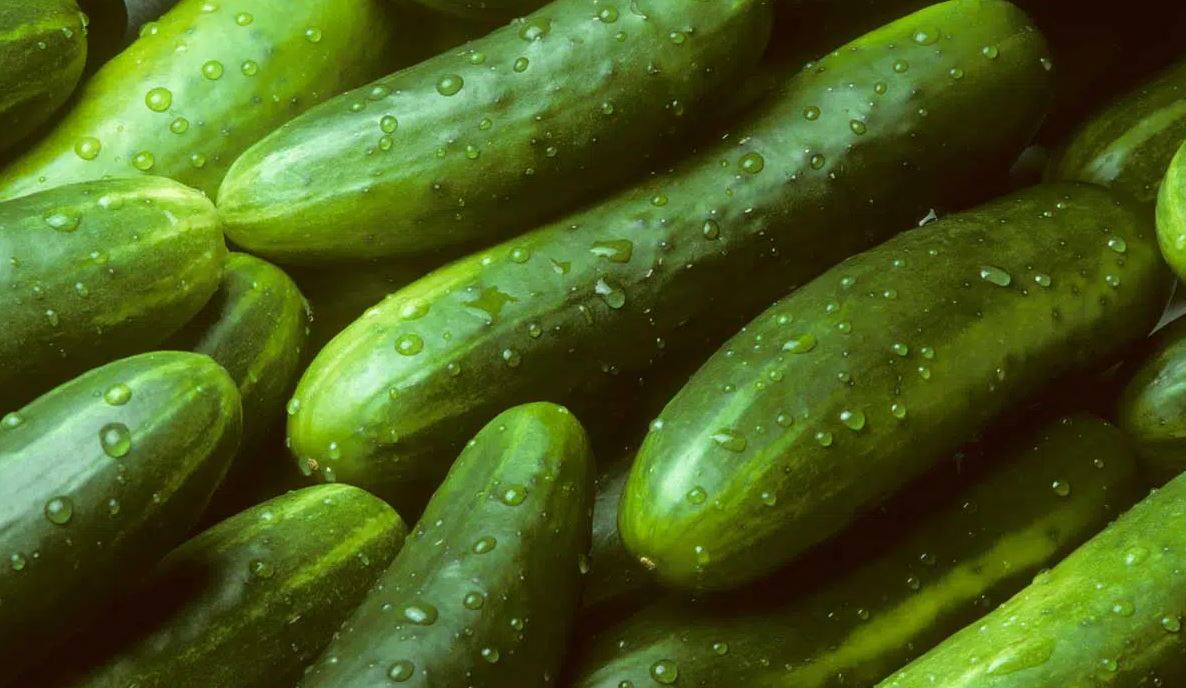Photo of Conoce todos los beneficios del pepino en tu salud
