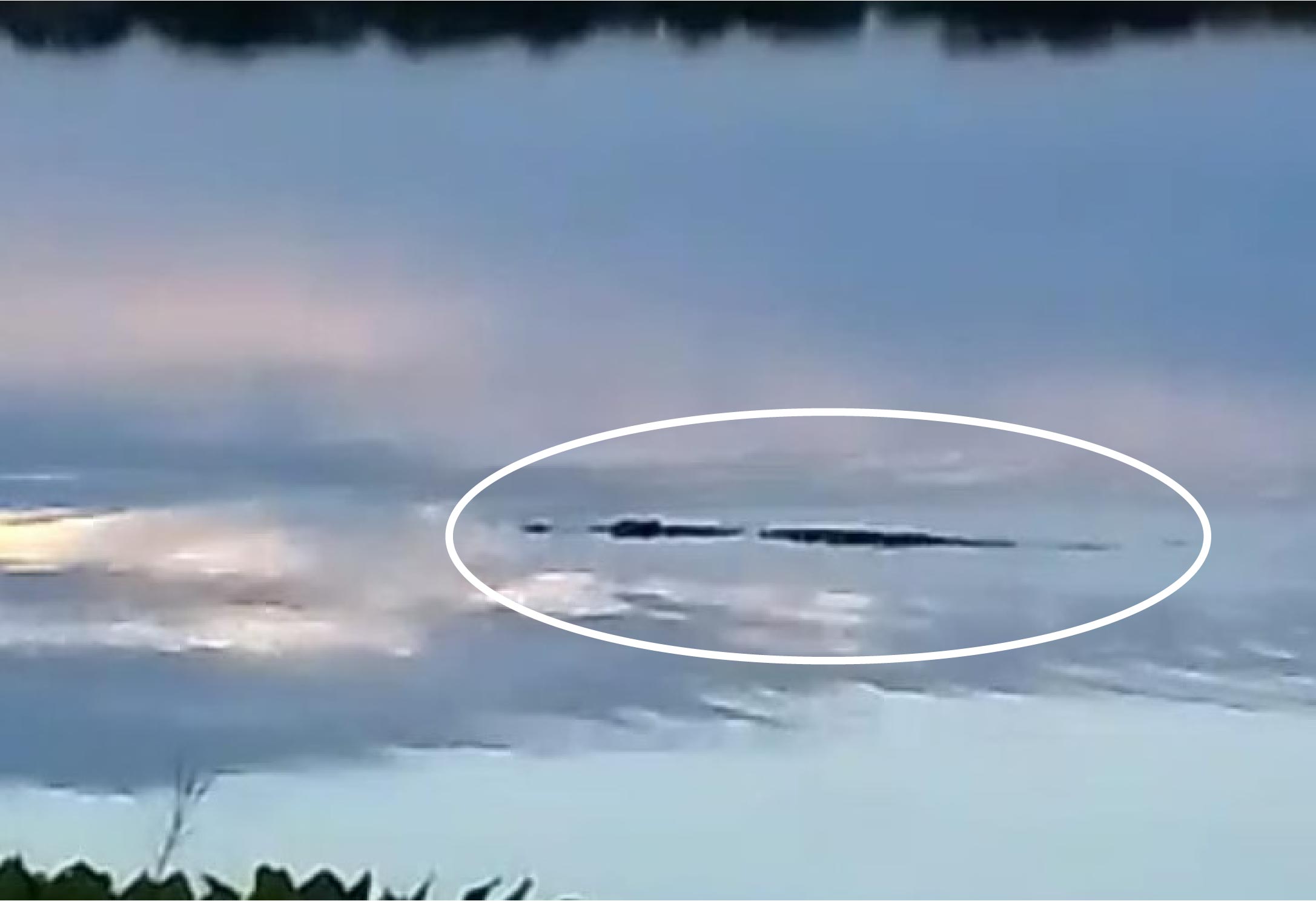 Photo of Pueblo Nuevo: Temor en el corregimiento de Cintura por aparición de caimán