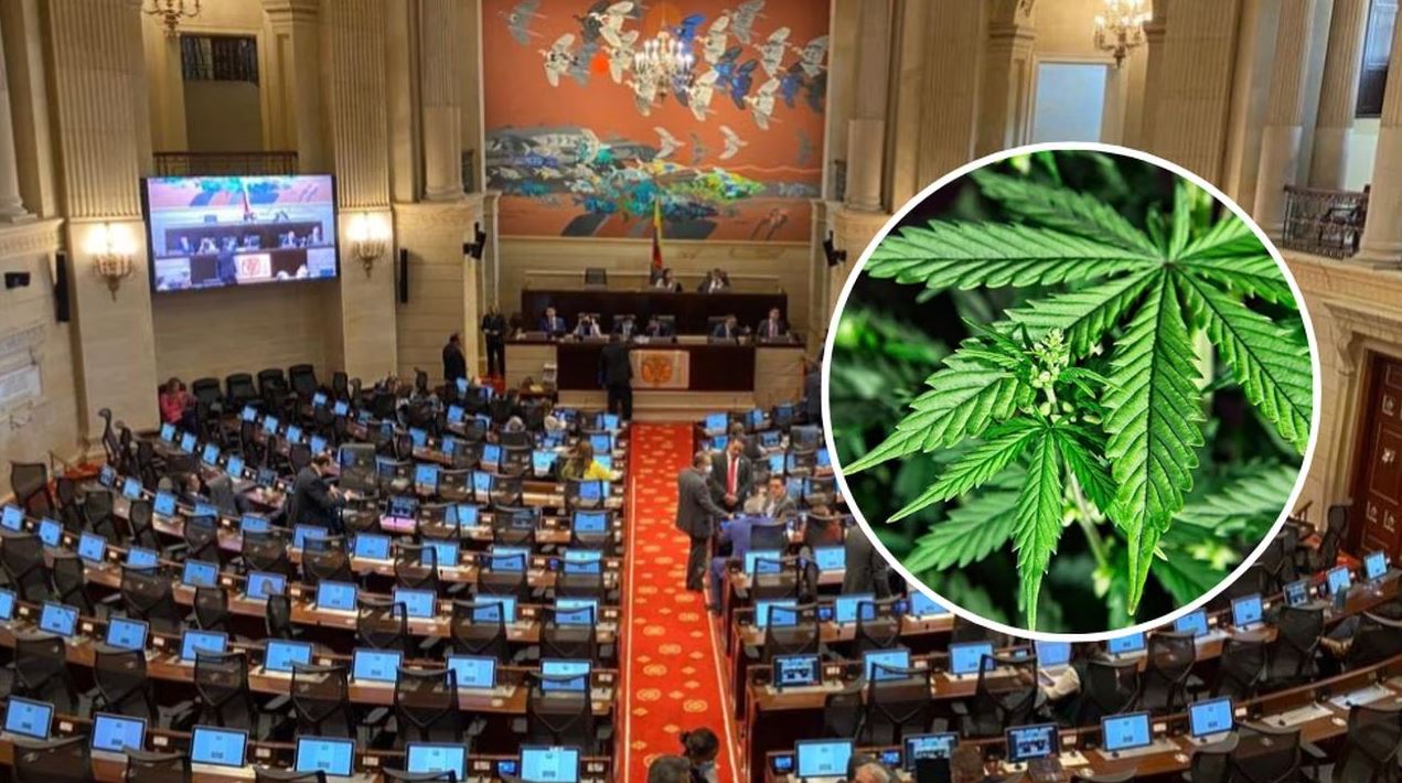 Photo of Uy zona! Proyecto que busca la regulación de cannabis fue aprobado en primer debate en el Congreso