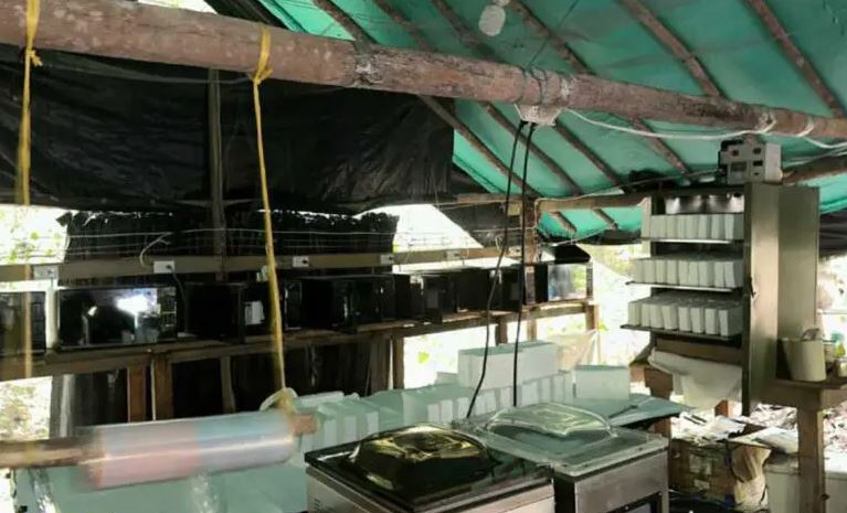 Photo of Desmantelan laboratorio en Ayapel que producía 10 toneladas de cocaína al mes