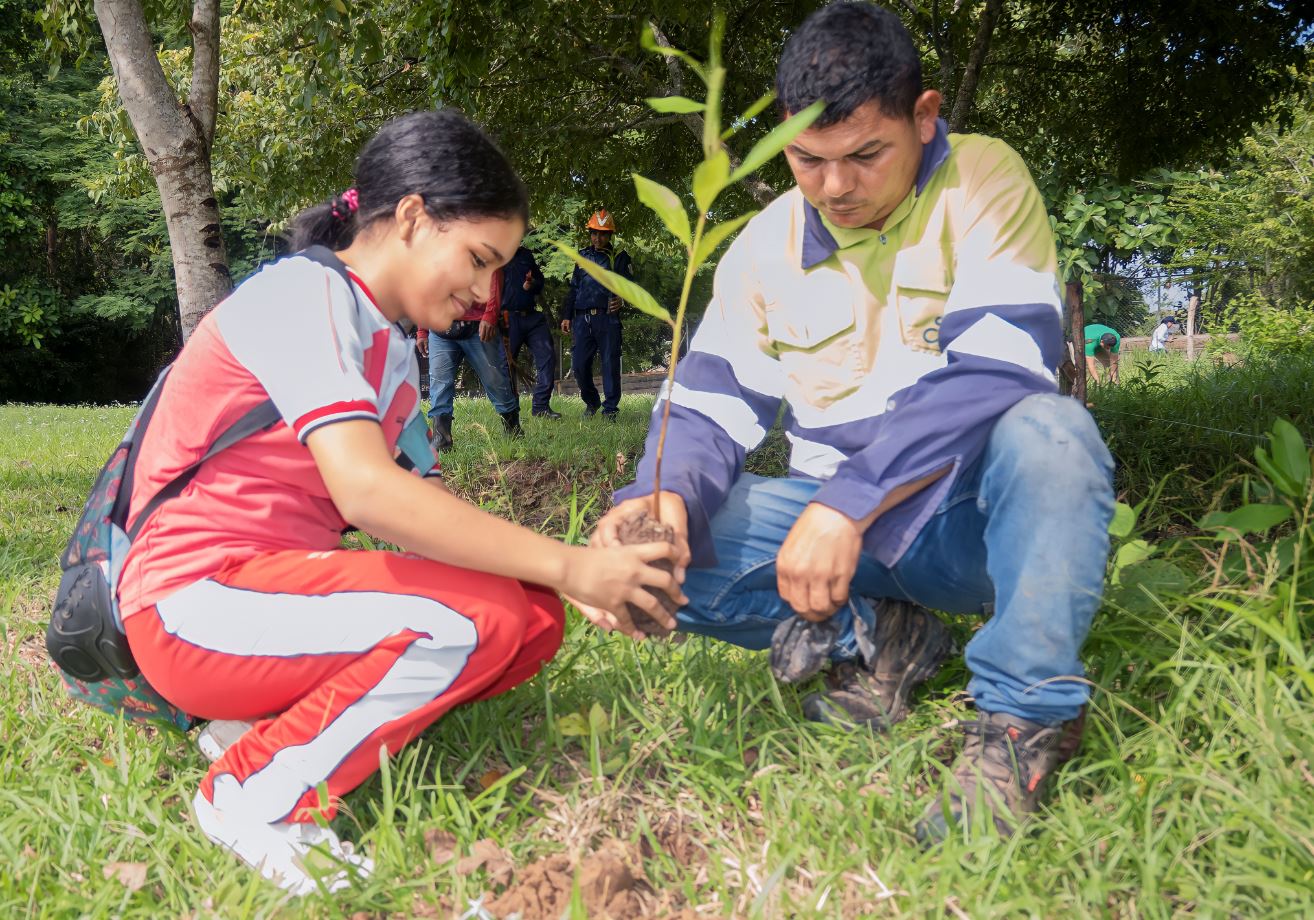 Photo of Sembratón de árboles nativos se cumplió en Pueblo Nuevo