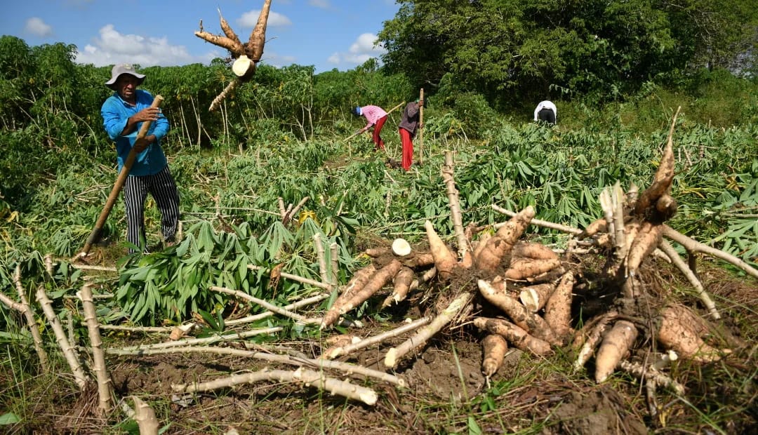 Photo of Erasmo Zuleta propone un frente común para combatir el hambre