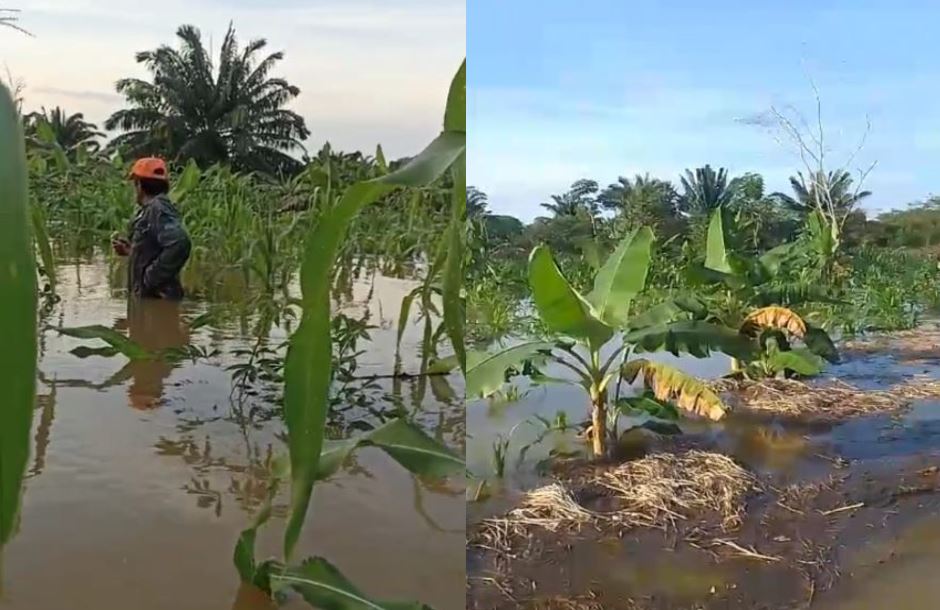 Photo of Campesinos de Las Catas, Ayapel, perdieron sus cultivos por el desbordamiento del río San Jorge
