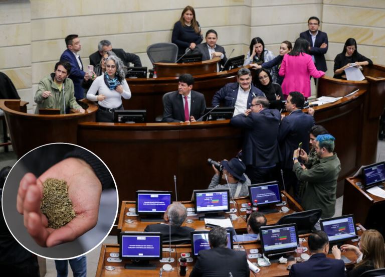 Photo of Se hunde proyecto que buscaba regularizar la marihuana de uso recreativo
