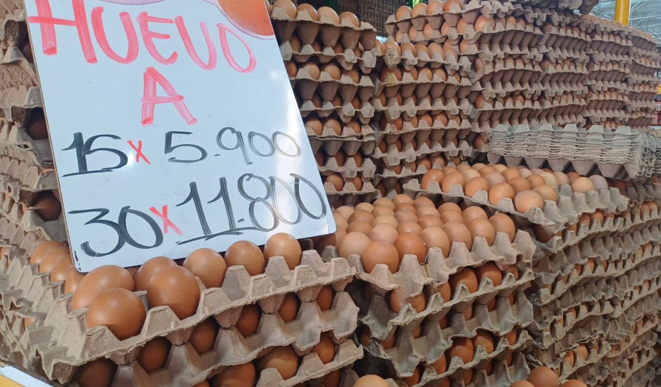 Photo of Precios de los huevos a la baja, ¿A qué se debe la reducción?