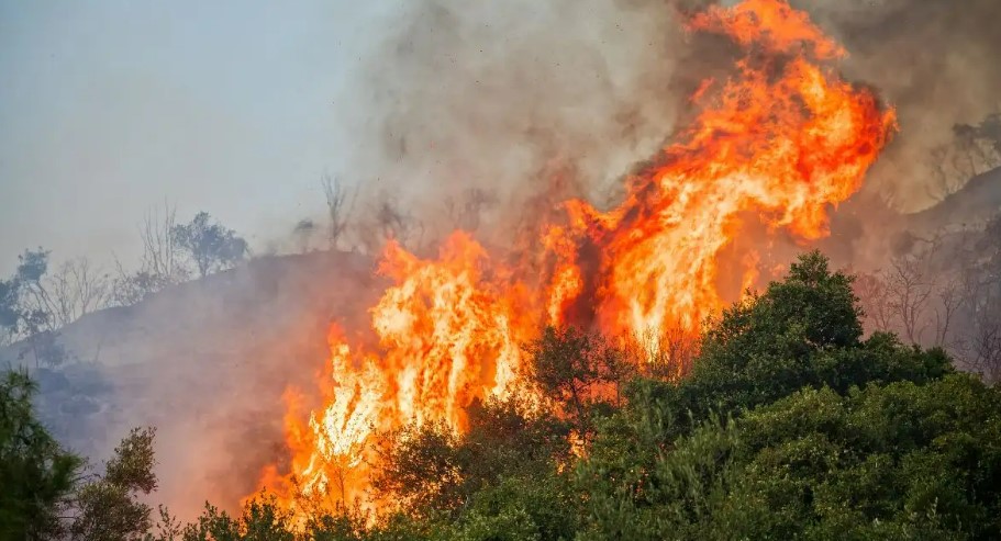 Photo of Tres municipios del San Jorge están en alerta por posibles incendios forestales