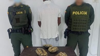 Photo of Policía incauta cargamento de hicoteas en Ayapel