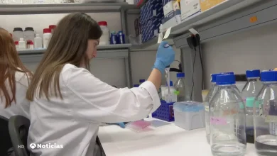 Photo of Células puñal, nuevo experimento para combatir el cáncer y desarrollar métodos menos invasivos