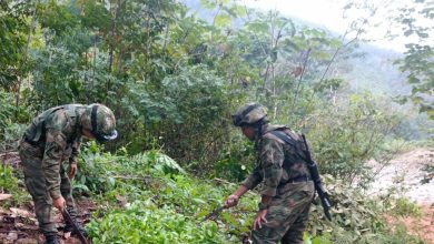 Photo of Ejército destruyó semillero de matas de coca en Tierradentro, Montelíbano