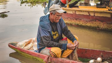 Photo of ¡Hoy es el día del agua! ¿Cómo va el plan de restauración de La Mojana?