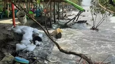 Photo of Comunidades de Córdoba claman por soluciones a la erosión costera
