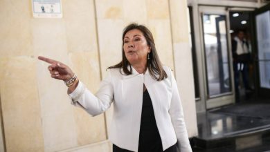 Photo of Consejo de Estado admitió 3 demandas contra la elección de Luz Adriana Camargo como fiscal
