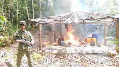 Photo of Ejército destruye dos laboratorios de coca en San José de Uré