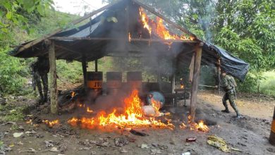 Photo of Destruyeron dos laboratorios de pasta de base de coca en Puerto Libertador