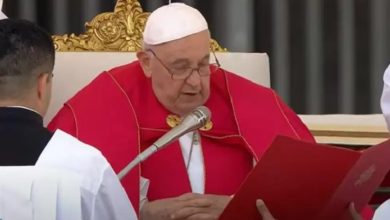 Photo of El Papa Francisco no lee la homilía en la misa del Domingo de Ramos