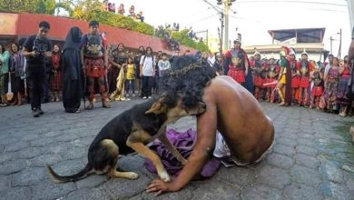 Photo of ¡Conmovedor! Perro consoló a actor que interpretaba a Jesús en el Vía Crucis