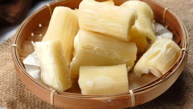 Photo of Promueven consumo de yuca para impulsar economía de los agricultores cordobeses