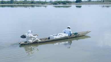 Photo of Investigan mortandad de peces en ciénaga de Buenavista