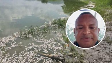 Photo of Mortandad de peces enciende las alarmas en ciénaga de Buenavista