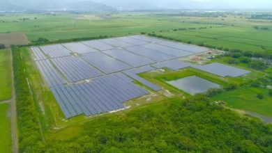 Photo of Solicitan permisos para construir macrogranja solar fotovoltaica en Montelíbano