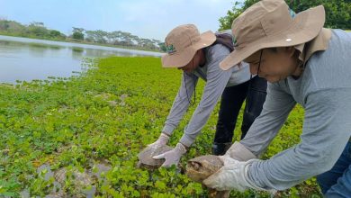 Photo of CVS liberó animales silvestres en Buenavista y Planeta Rica