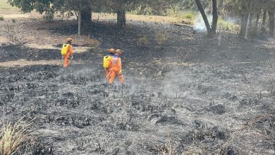 Photo of Un anciano murió en medio de un incendio forestal en Ciénaga de Oro