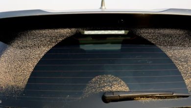 Photo of ¿Qué son y para qué sirven las líneas en el vidrio de trasero del carro?