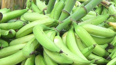 Photo of Alimentos que promueven un sueño reparador, ideales para la noche