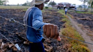 Photo of Unidad de Víctimas venderá bienes por $300.000 millones para reparar víctimas de AUC