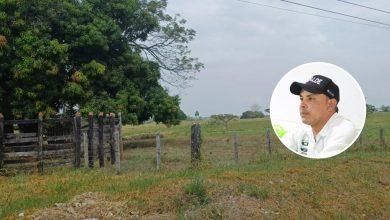 Photo of Alcalde de Buenavista solicitó entrega de 18 mil hectáreas de tierras a víctimas del conflicto