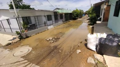 Photo of Proliferación de mosquitos por laguna que se ha formado en barrio del sur de Montelíbano