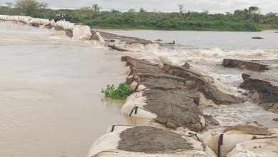 Photo of Volvió a romperse la boca Cara e´ Gato: Emergencia en Ayapel y La Mojana