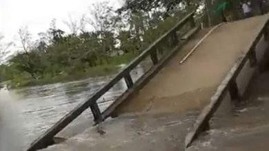 Photo of Ayapel: Colapsó el puente de Los Negritos sobre el caño San Matías