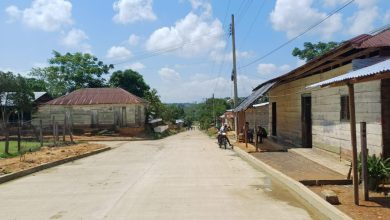 Photo of Puerto Libertador y Montelíbano entre los municipios de Córdoba con mayor incidencia de paludismo