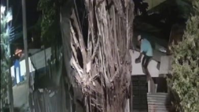 Photo of ¡Ola de robos! Ladrones están al acecho en Montelíbano