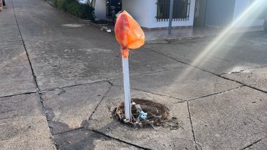Photo of Manjol destapado se convierte en una peligrosa trampa para la comunidad de Montelíbano